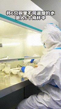 餐前烫碗是仪式感还是真管用 实验揭秘真相