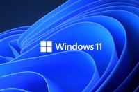 Windows 11市场份额持续下滑，Windows 10逆势增长引关注