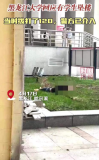 警方介入黑龙江大学一学生坠楼 校方证实已送医