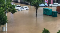 河南社旗大冯营降水量超600毫米 创极端暴雨纪录