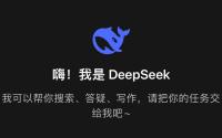 DeepSeek何以創(chuàng)造行業(yè)奇跡 底層創(chuàng)新引領(lǐng)突破