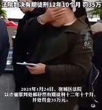 男子相親謊稱不育專騙單親媽媽 詐騙295萬獲刑