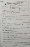官方回应17岁代孕少女生产细节 涉事公司正被调查