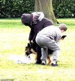 英国伦敦公园发生恶犬袭击事件 路人用非常规手段救援