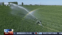 河南下达5000万元支持小麦抗旱 保夏粮稳产丰收