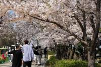 韩国确诊今年首例“蜱虫病”病例 春季高发期需警惕