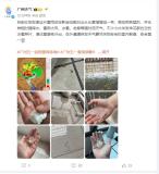 廣州多區(qū)“風(fēng)雨雹”預(yù)警生效 冰雹來襲注意安全