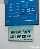公廁管理回應(yīng)蕾絲是美好的象征標(biāo)語,，廁所管理人員回應(yīng),！