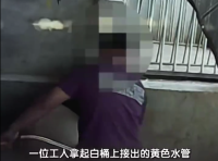 为增重活猪被疯狂灌水后注入封闭针 官方通报