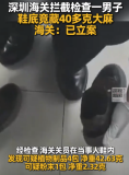 男子鞋底藏毒過(guò)海關(guān)被攔 該男子已被立案處理