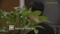 主婦卷走千萬(wàn)給新老公買房 騙局背后的真相