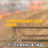 男子開收割機(jī)沖進(jìn)起火麥田搶收 00后勇?lián)?zé)任