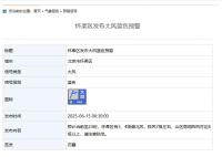 北京7區(qū)發(fā)布大風(fēng)藍色預(yù)警,，陣風(fēng)7級左右，請注意防范 山區(qū)局地陣風(fēng)更強