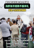 烟台到大连轮渡上有人抓海鸥：海鸥不断挣扎