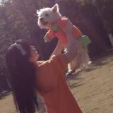 女子辭職自學(xué)法律為愛(ài)犬追兇千余天 寵物中毒案延審8次引發(fā)關(guān)注