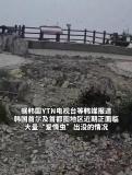韓國首爾“愛情蟲”爆發(fā) 民眾困擾投訴激增