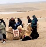 月牙泉景区回应游客骑骆驼摔下 安全员在场已送医救治