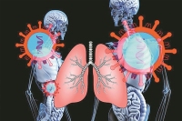 微型肺类器官可批量生产 或将改变未来肺病研究方式