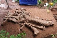 重庆发现恐龙新种：三江马门溪龙 复原体长可达24米！