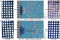 我國(guó)突破海水制氫提鎂聯(lián)產(chǎn)技術(shù) 助力“綠氫”低價(jià)量產(chǎn)