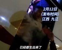 寒风里生命接力！孕妇返乡路上大巴车内顺利产子