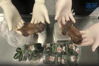 长沙海关查获鼠肉蚂蚁卵 违规携带入境被查