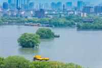 家长谈中小学生春假：孩子放假我不放 陪假难成困境