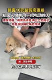 10元快剪理发店被曝人狗共用推刀 特殊情况引发争议