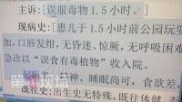 幼兒在公園誤舔一口葉子中毒入院 警惕滴水觀音毒性