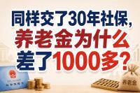 同樣交社保30年 為何退休金不同 揭秘養(yǎng)老金計(jì)發(fā)基數(shù)的影響