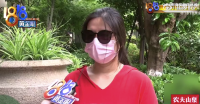 女子退租要賠近萬被指養(yǎng)貓三四十只