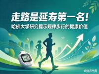 长寿运动第一名是日常步行 性价比最高的健康方案