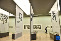 “能见大义——杨明义艺术与文献展”在北京开幕