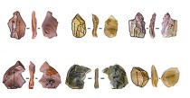 110万年前古人类石器技术研究获新进展