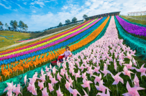 华夏始祖诞生地 石泉北川欢迎您！