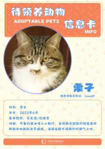 栗子-猫-2023年6月