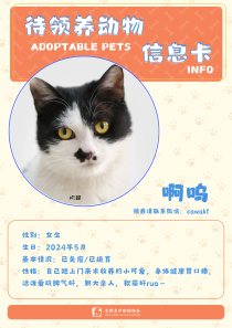 啊呜-猫-2024年5月