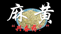 《神农本草经》赞其主中风伤寒头痛——麻黄