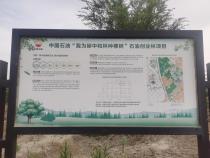 “我为碳中和种棵树”公益活动成果丰硕