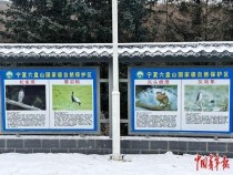 野生动物救护者呼吁：敬畏生命、科学守护