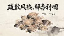 治疗风热外感的常用良药——牛蒡子