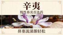 鼻部疾患的经典药材——辛夷