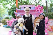 全城“哈基米”集结 武汉极地海洋度假区宠物友好日萌趣开启