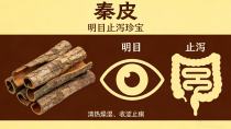 清热燥湿、收涩止痢——秦皮