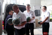 5000斤滞销西瓜被江汉区爱心企业买下，河南瓜农顺利返乡救灾