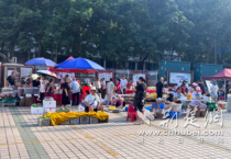 东宝区“群艺有约 沿河有邻”文明实践走基层