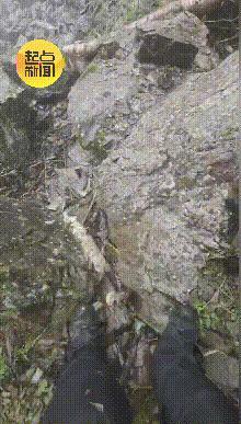 男子驾车翻下深沟摩托骑手托举脱困 危难时刻显身手