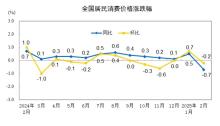 國家統(tǒng)計(jì)局：2025年2月份居民消費(fèi)價(jià)格同比下降0.7% 環(huán)比繼續(xù)微降