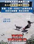 流浪狗闯进民宅女子出来查看被扑咬 目前那只狗还没抓到