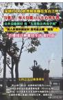 深圳打工人放弃租房睡在车内三年 自由惬意生活选择